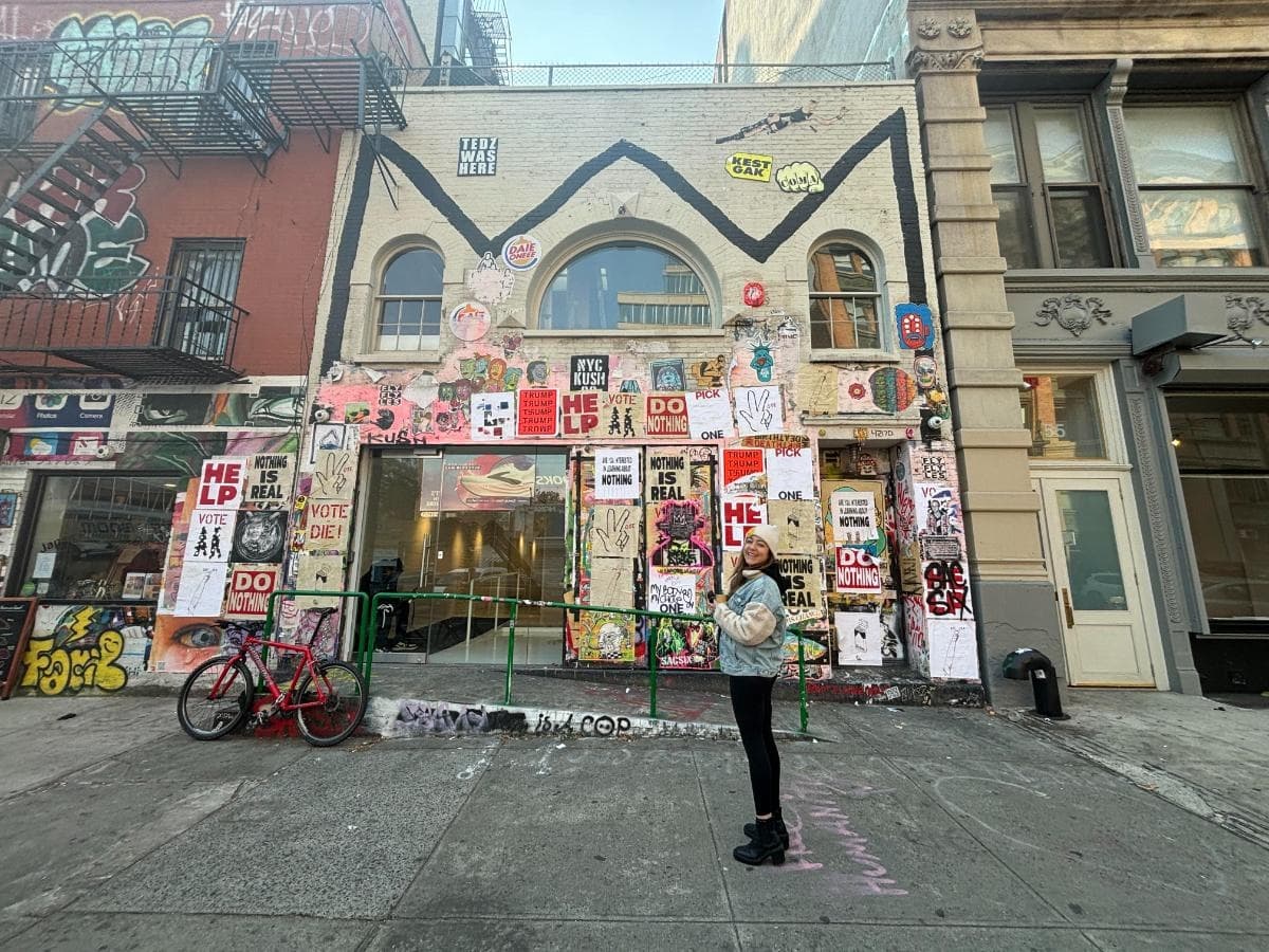 Basquiat Private Tour by Your New York Story in NYC