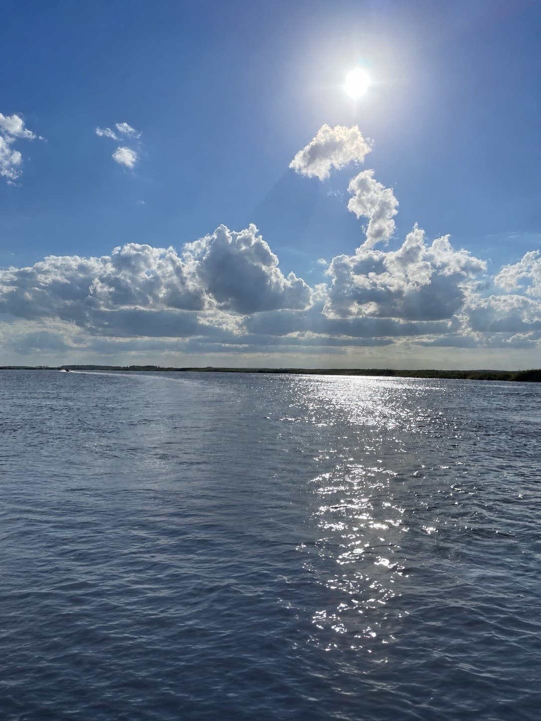 Family Day Cruise on the Choptank River from Hyatt Regency Chesapeake Bay