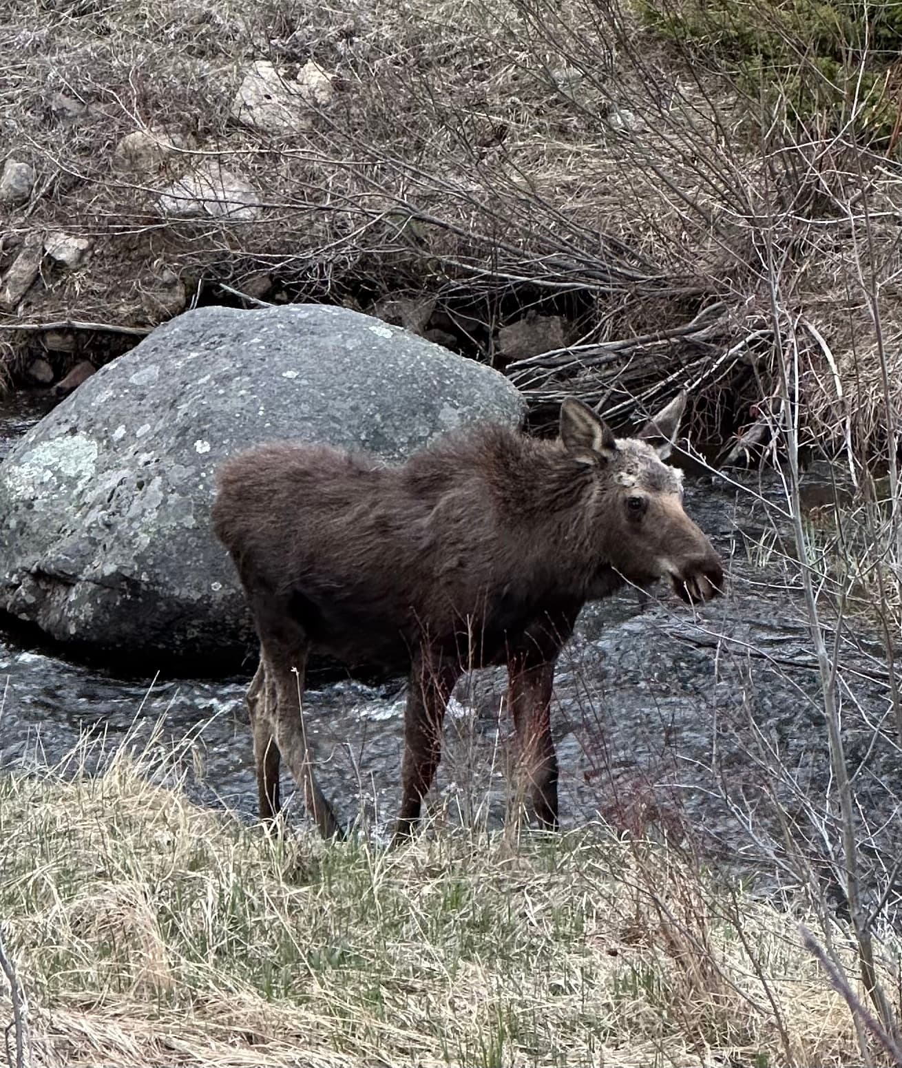 Rocky Mountain Reflections: Bear Lake Corridor Tour