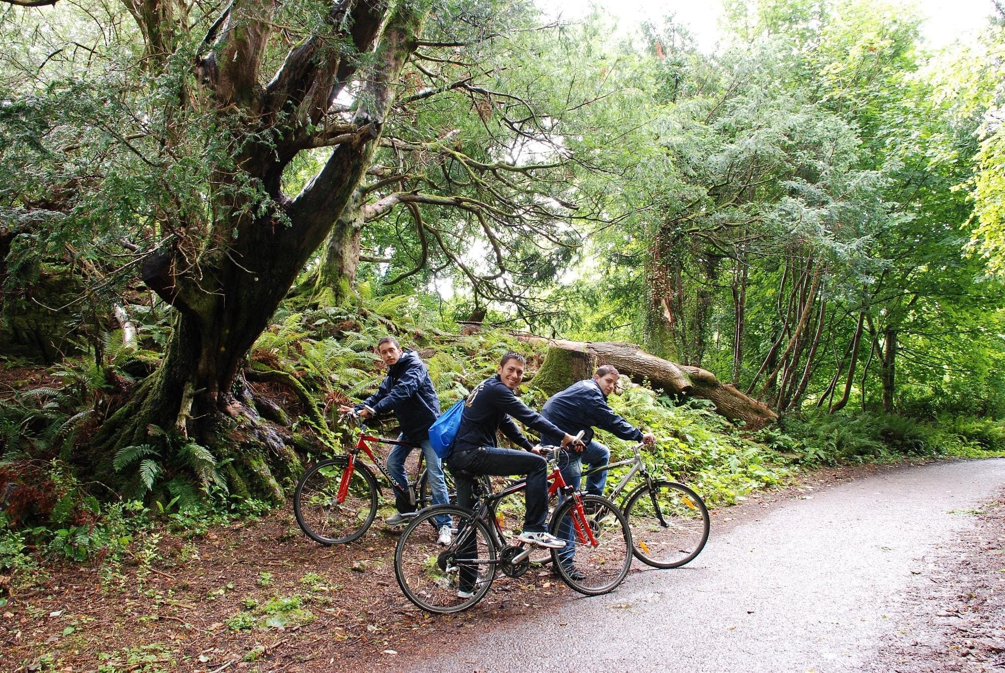 Land-Adventures with Killarney Rent A Bike Muckross