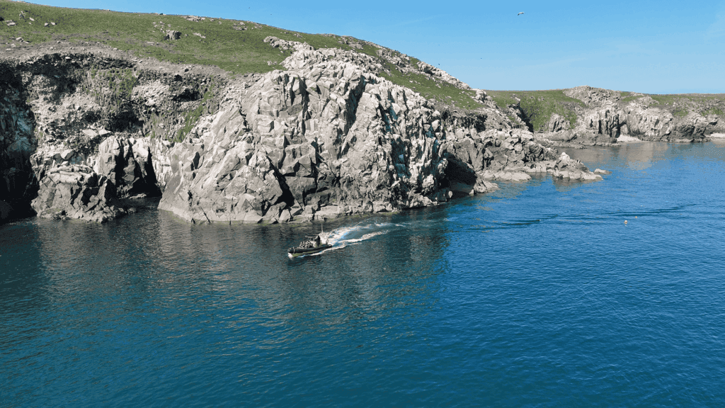 Water Activities & Saltee Sea Safaris: Custom Ocean Adventures
