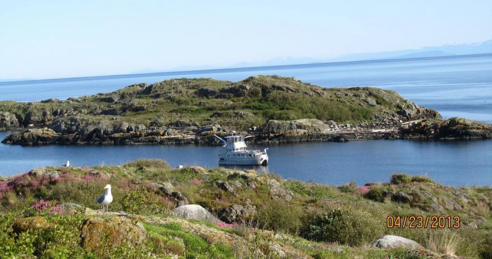 Comox Harbour Charters fleet