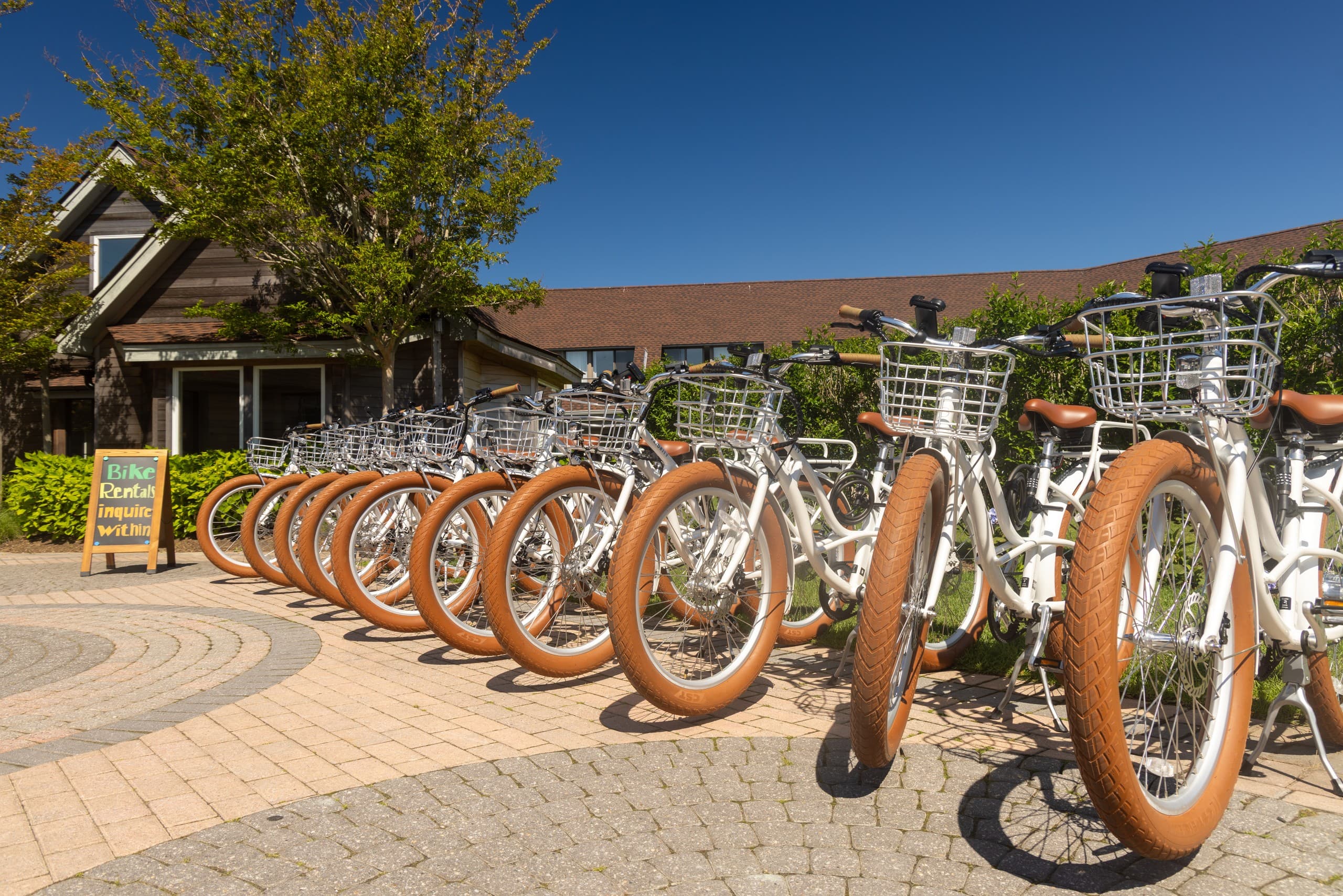 Montauk Coastal E-Bike Tour from Montauk Yacht Club — 1.5-Hour Guided Ride