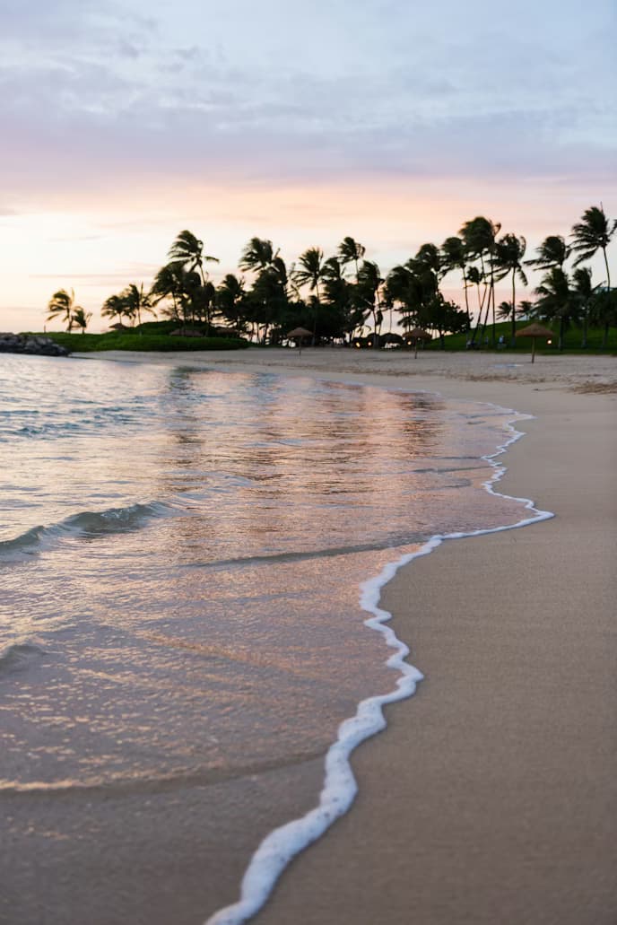 Shelling the Ten Thousand Islands: Goodland Charter for Rare Junonias and Wildlife