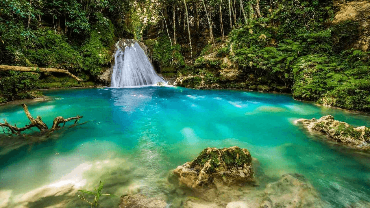 Blue Hole and Bamboo Rafting: Half-Day Pools, Rafting & Horseback Ocean Ride from Ocho Rios photo 1