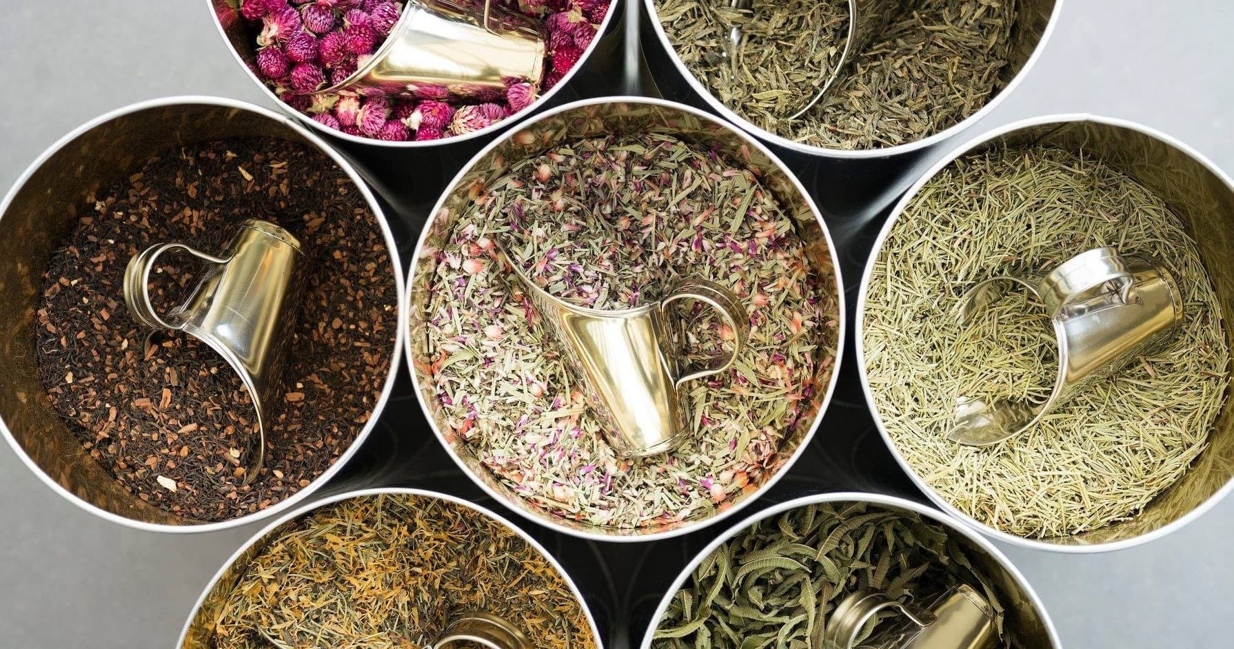 Medicinal Herbs Workshop by Farm Experiences & Tours
