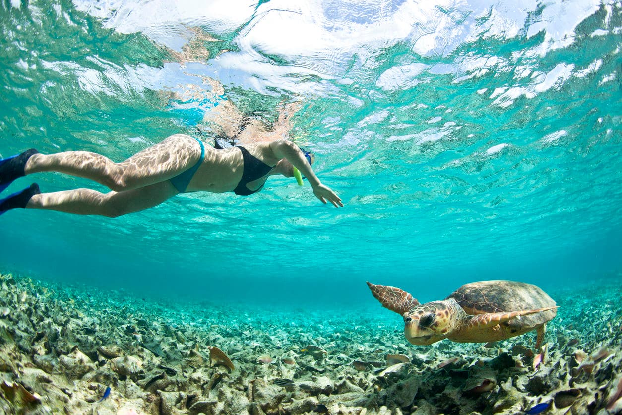 Snorkeler swimming with sea turtles over coral reef, clear water