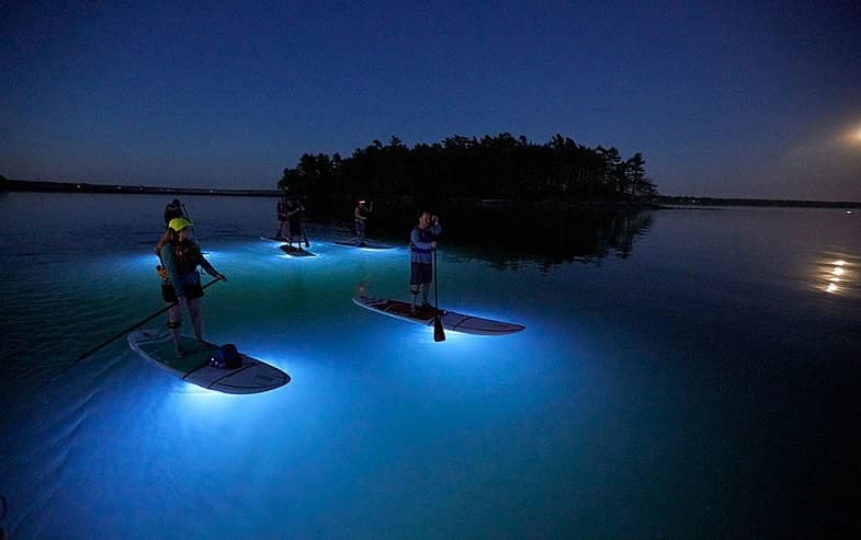 Night paddleboarding with illuminated boards over glowing bioluminescent water