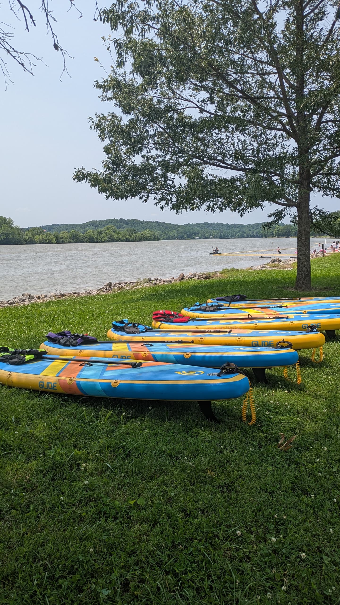 Stacked paddleboards on grassy lakeshore under shade of tree