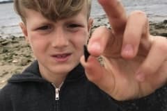 Young boy exploring rocky shoreline holding small shell find