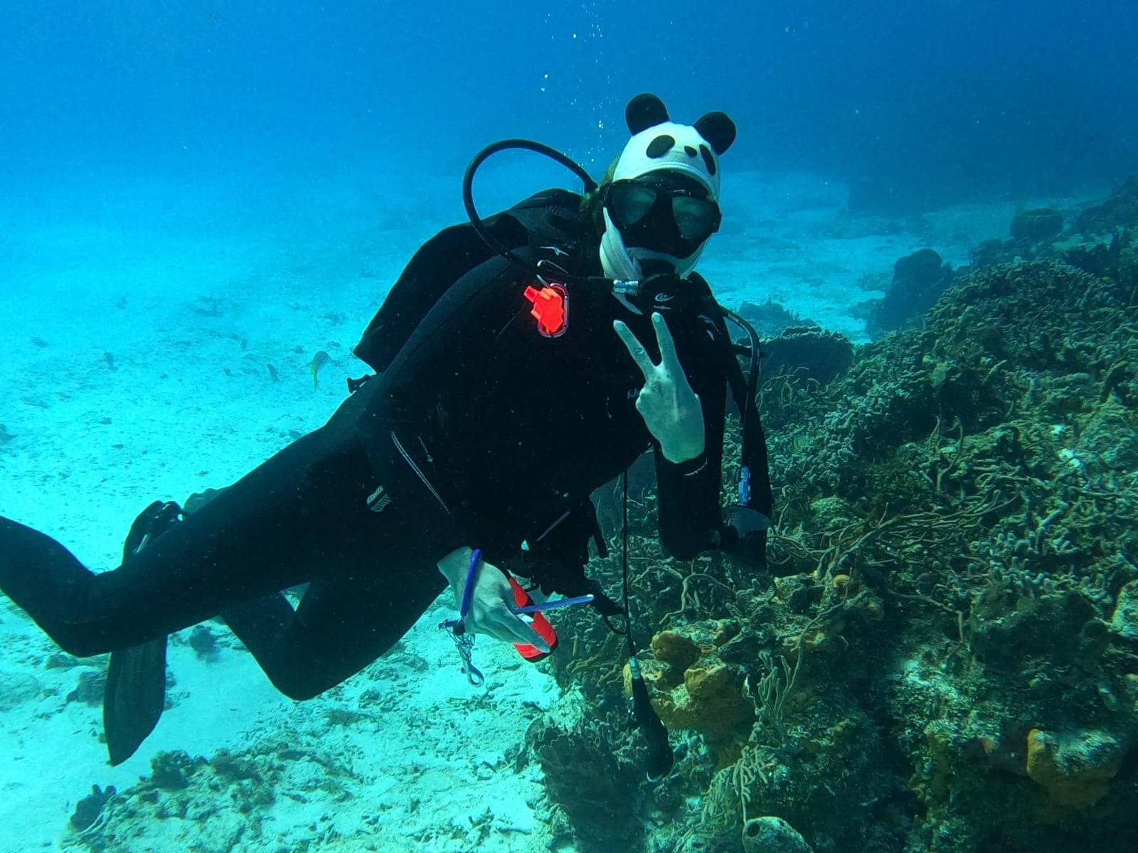 Master Deep and Night Diving with NAUI Advanced Certification in Cancún