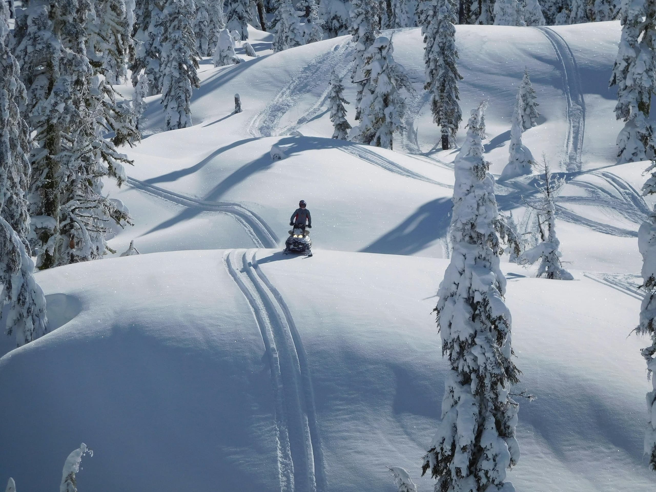 Snowmobile carving deep powder across snowy backcountry forest slopes