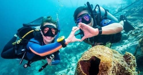 Join PADI Club — Scuba Membership, Discounts & Dive Community