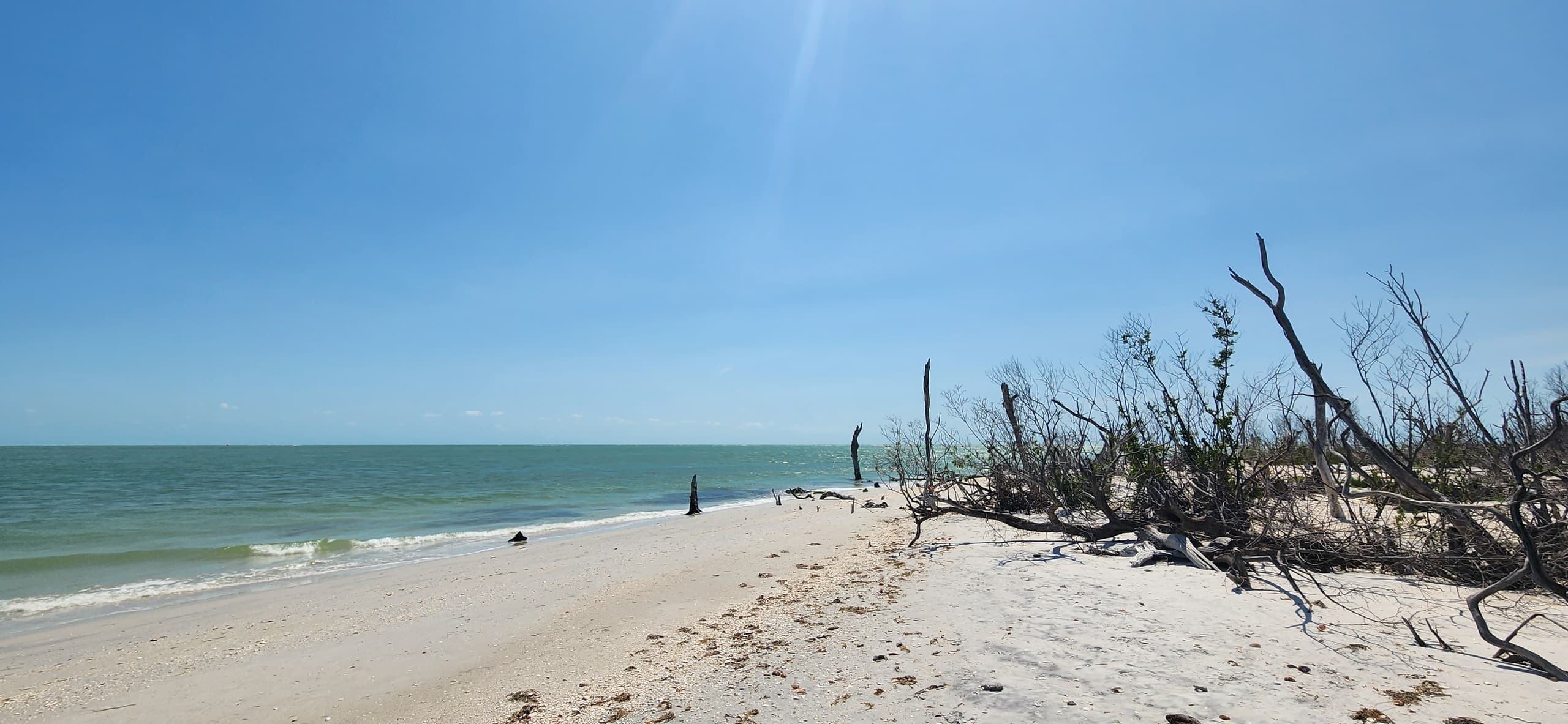 Beachcombers near driftwood on sunny Gulf shoreline, coastal walk