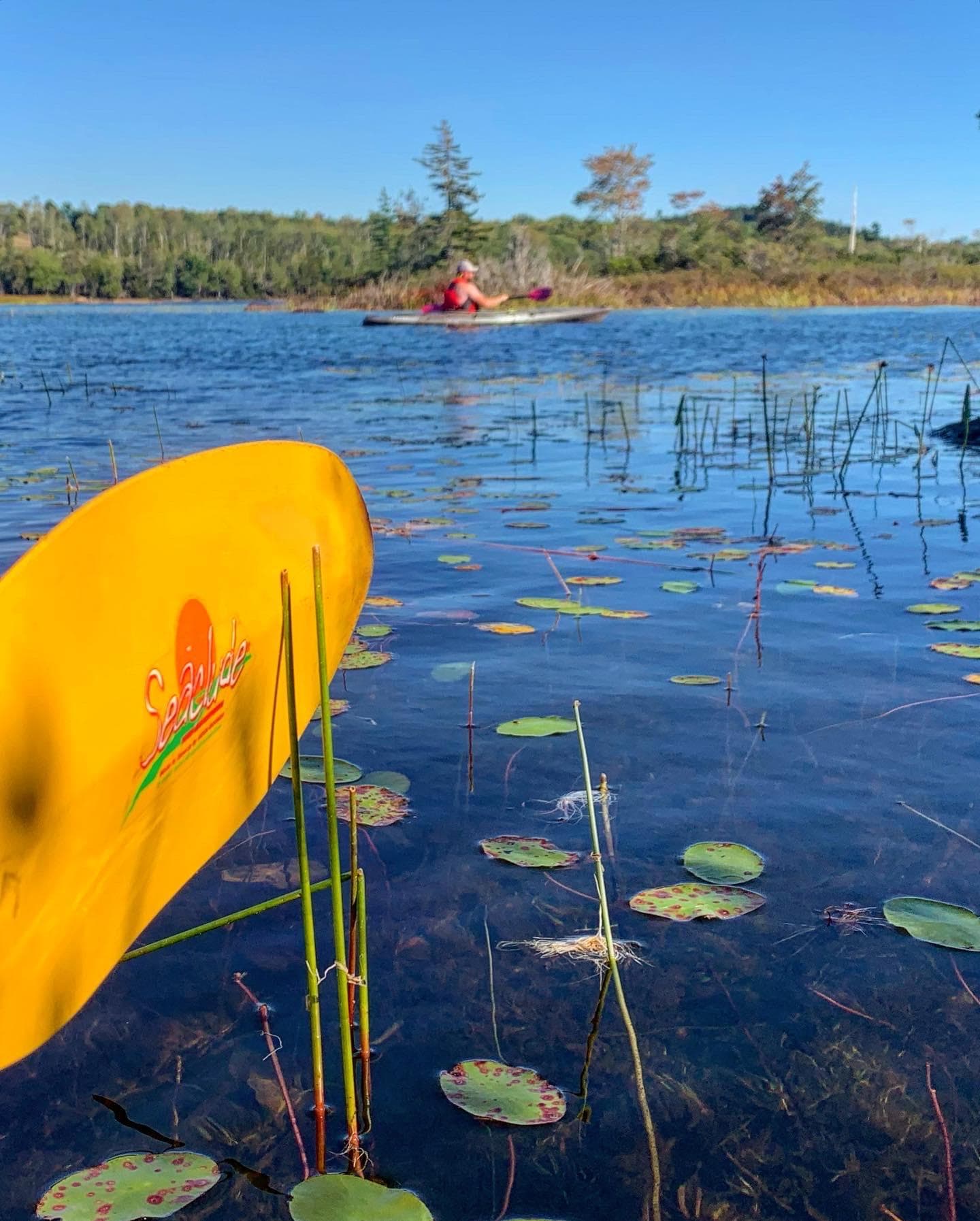 Pedal Adventures with Sea Schoodic in Winter Harbor, Maine