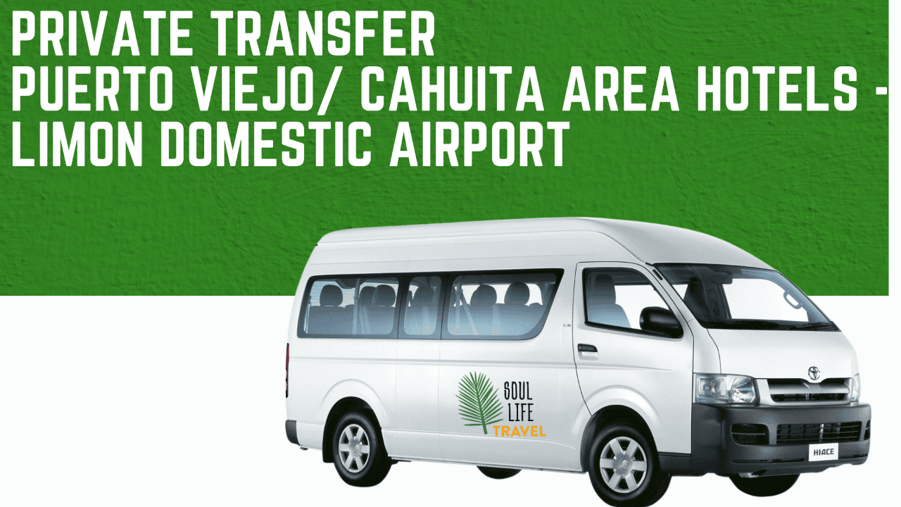 Private Transfer from Puerto Viejo & Cahuita to Limón Domestic Airport — Door-to-Door Caribbean Coast Transport