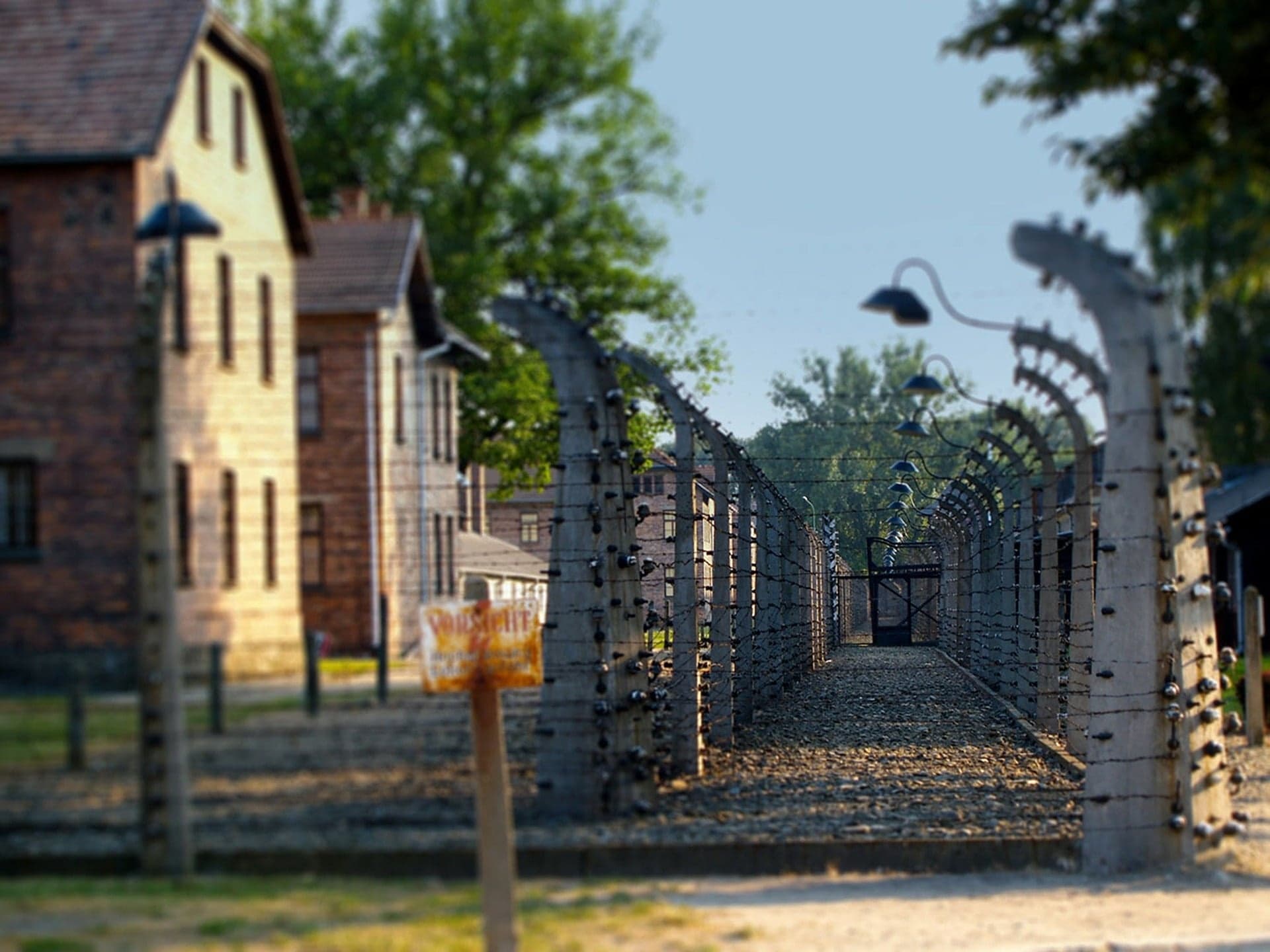 Historical Tours of Auschwitz Birkenau | The Adventure Collective