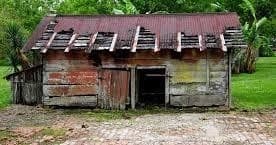 Land-Adventures & Water-Activities at Laura Plantation & Swamp Tour