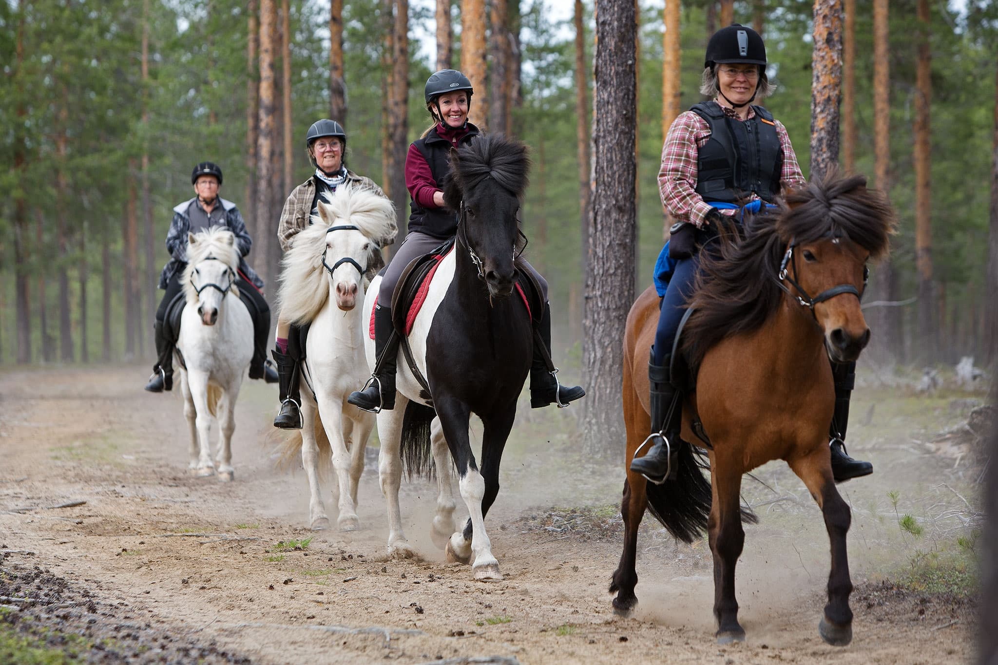 Horseback Adventures with Horses of Taiga near Svansele