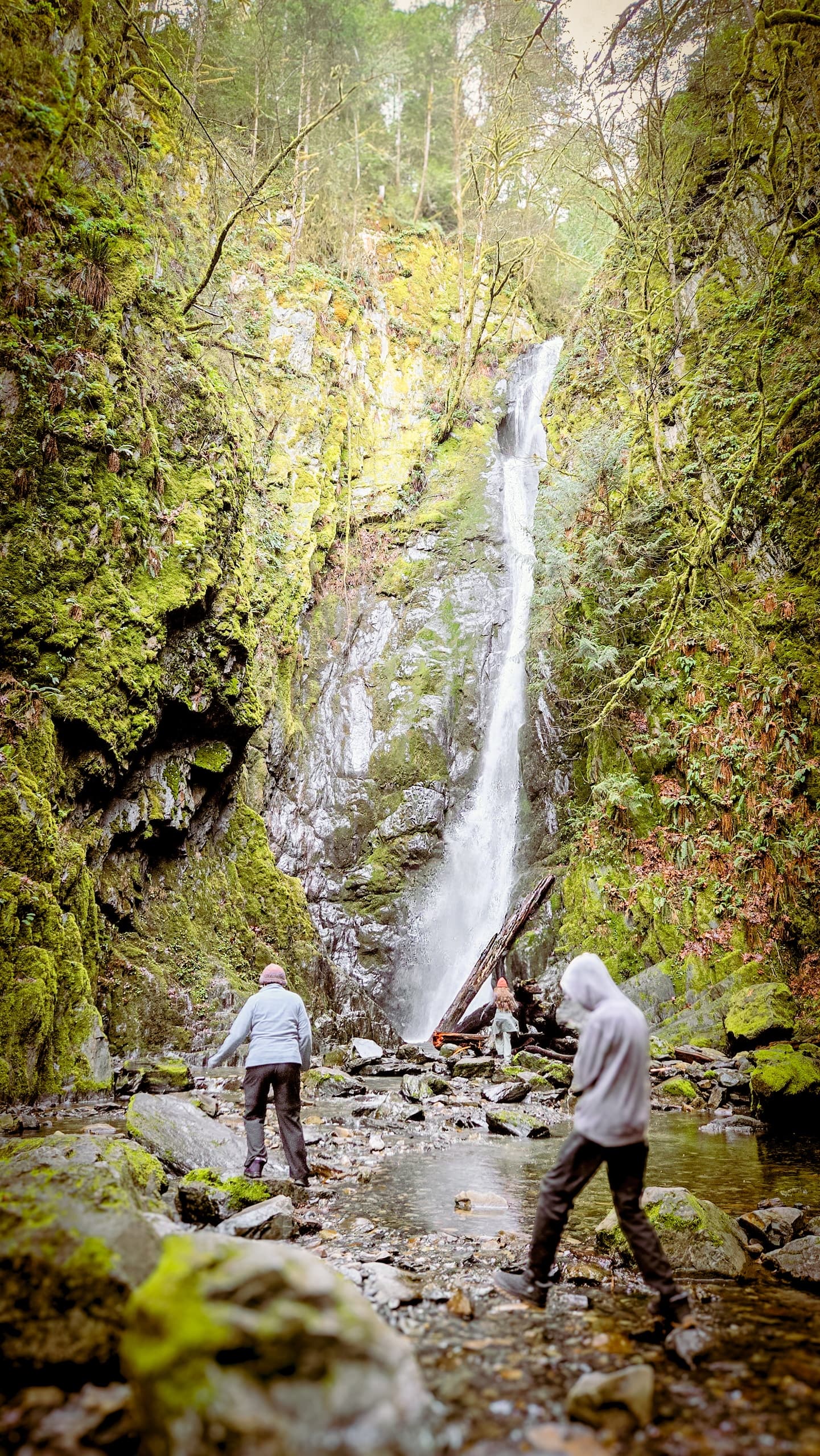 Water Activities & Scenic Shuttle Tour on Vancouver Island