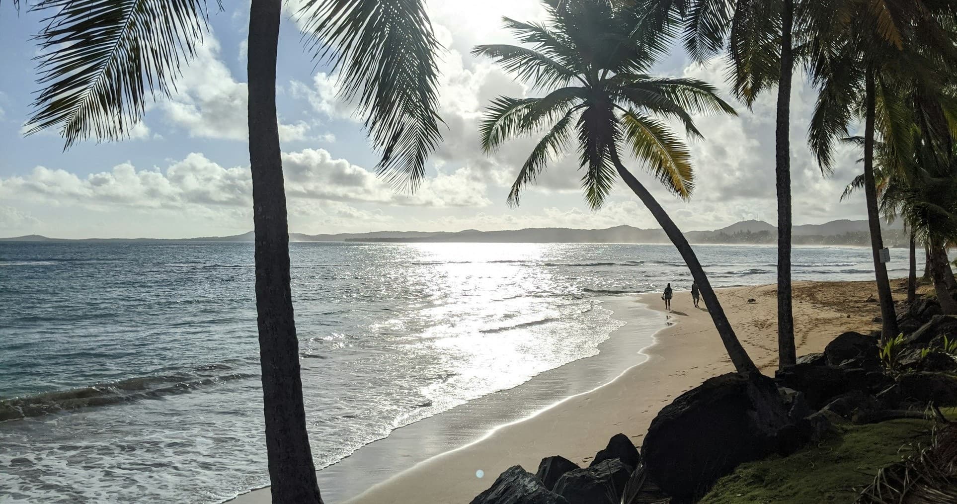 Selva Shores & Flavors of Luquillo Tour in Puerto Rico