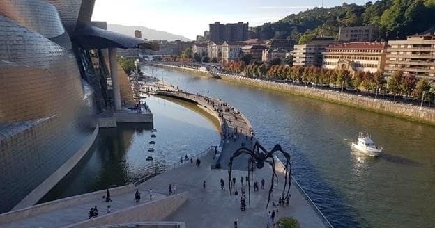 Cultural Art Tour at Guggenheim Bilbao