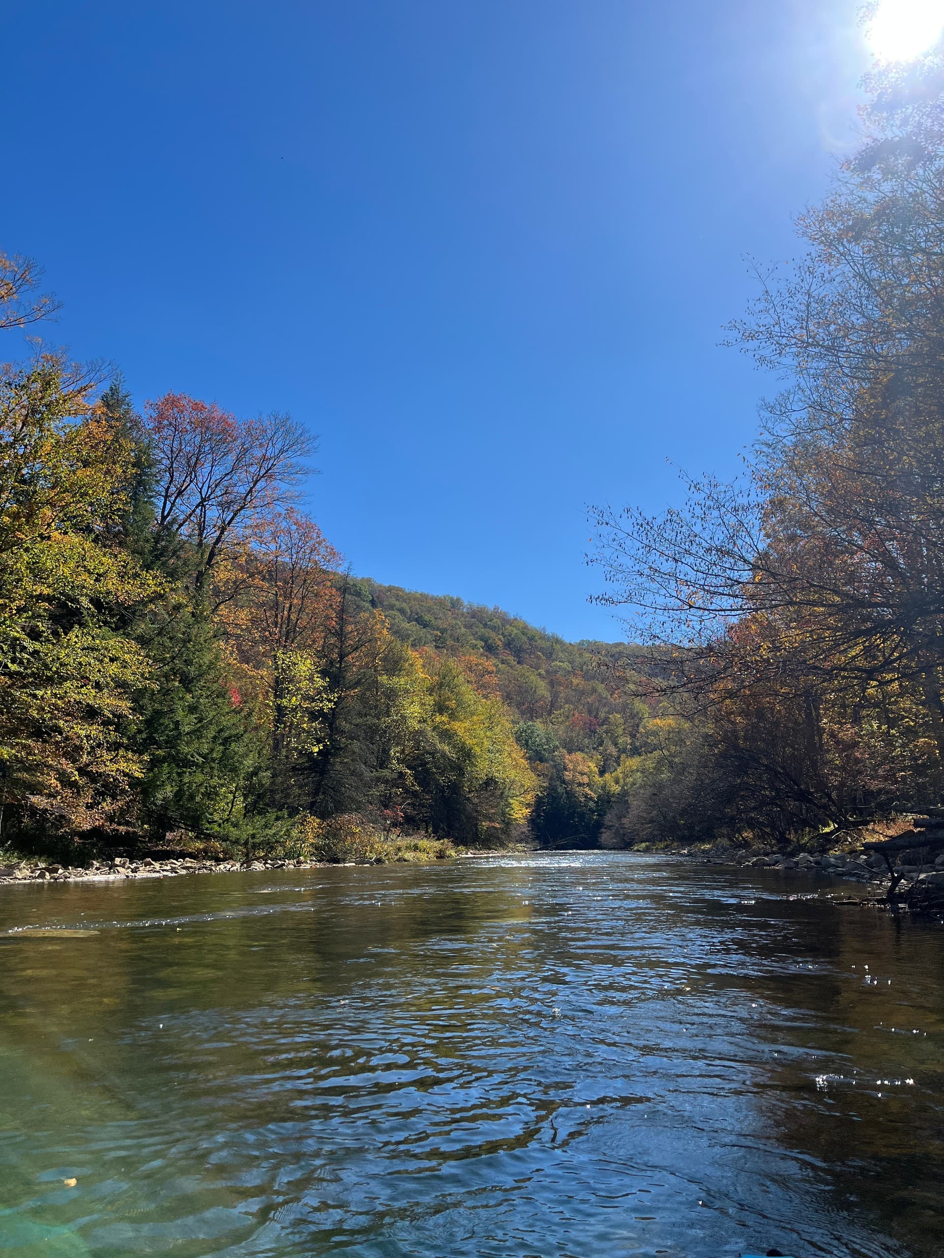 Paddle the West Branch Clarion River — Wilcox to Johnsonburg 7-Mile PA Wilds Float photo 2