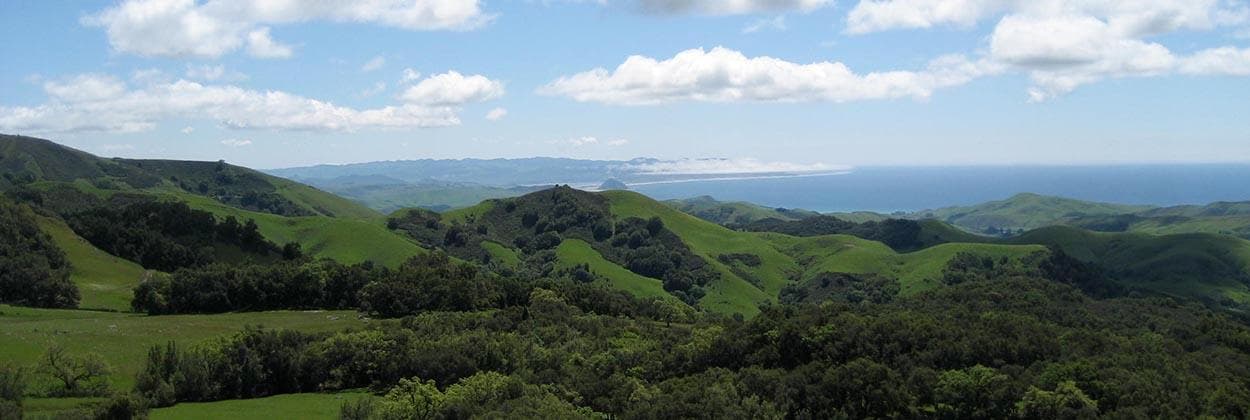 Panoramic rolling green coastal hills view, Central Coast