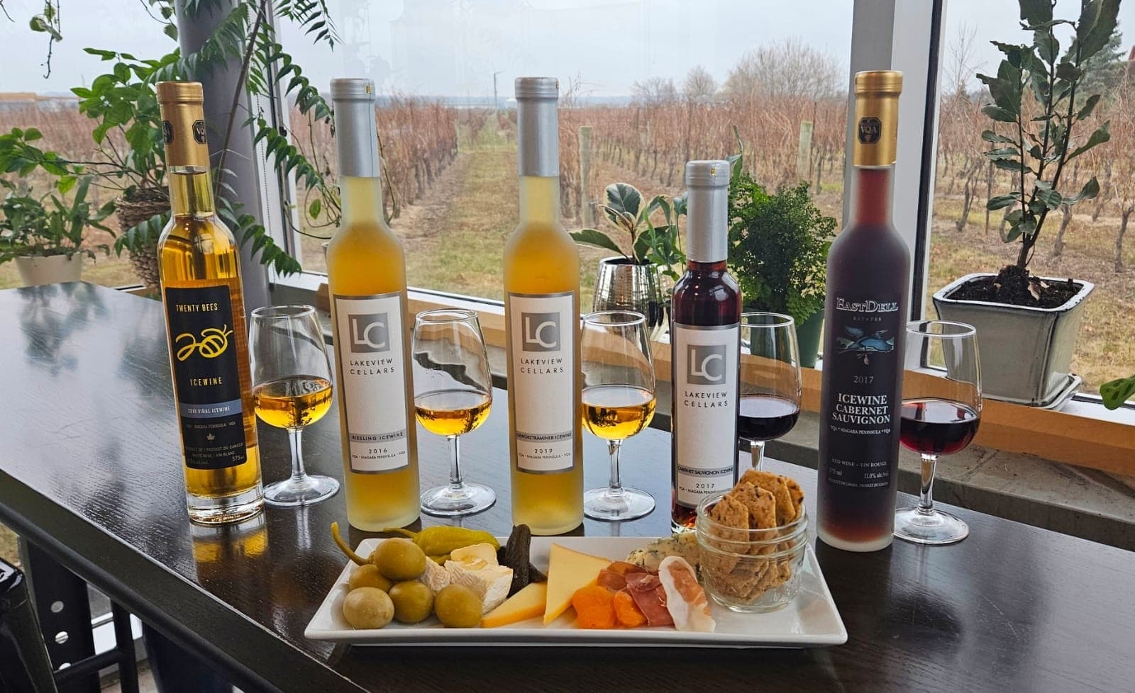 Wine bottles and tasting board by window overlooking vineyard