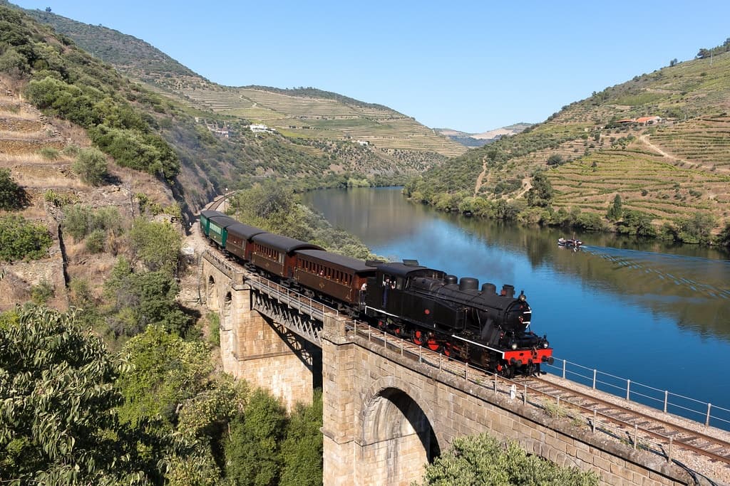 Douro Valley Train Tour & Wine Tasting from Porto