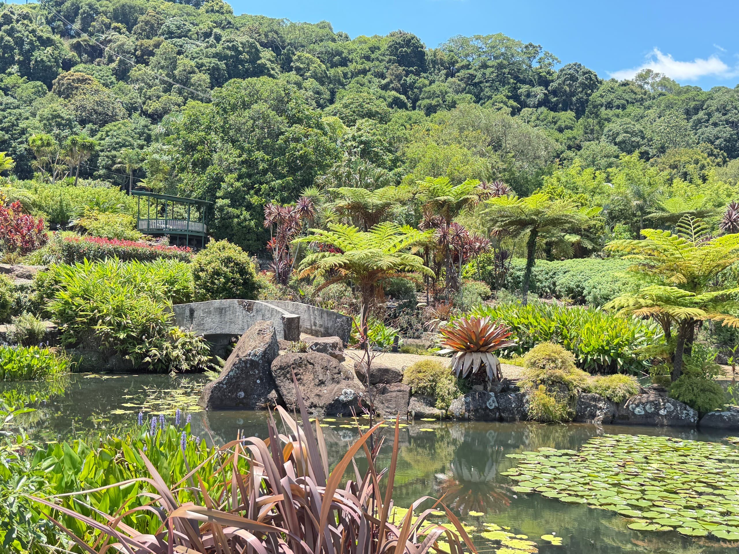 Sunshine Coast Day Trip Glass House Mountains Maleny Botanic Gardens & Bird World photo 2