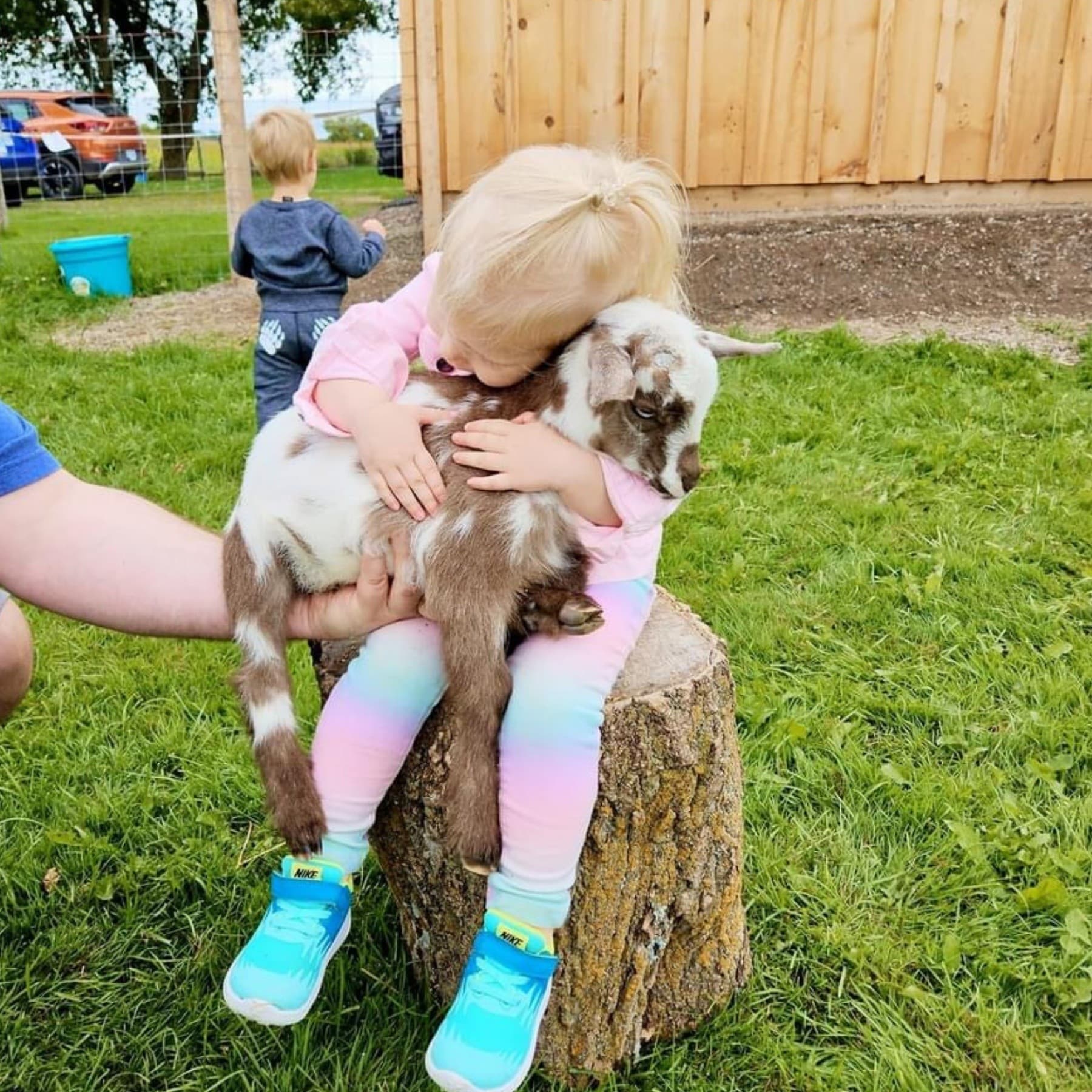 Mother's Day Goat Snuggles — Farm Visit in Martintown, Ontario
