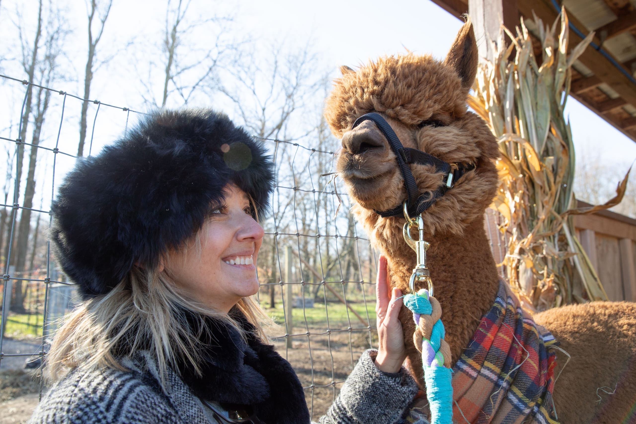 Rustic Farm Stays & RV Camping at Sicilia Farms, NJ