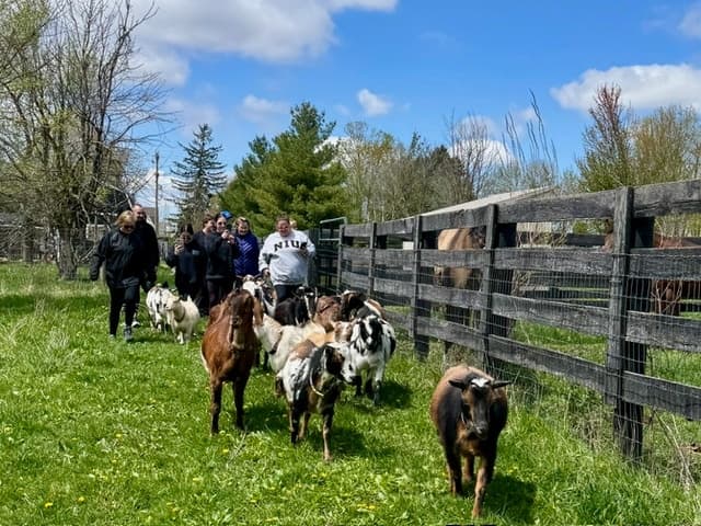 The Ultimate Farm Experience in Elgin, Illinois