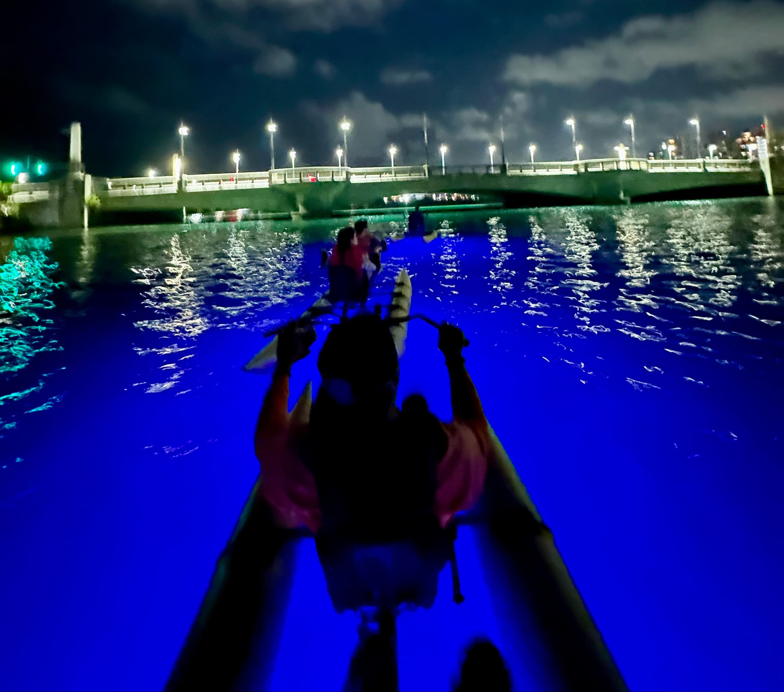 Night bioluminescent kayak tour with underwater lights in Puerto Rico
