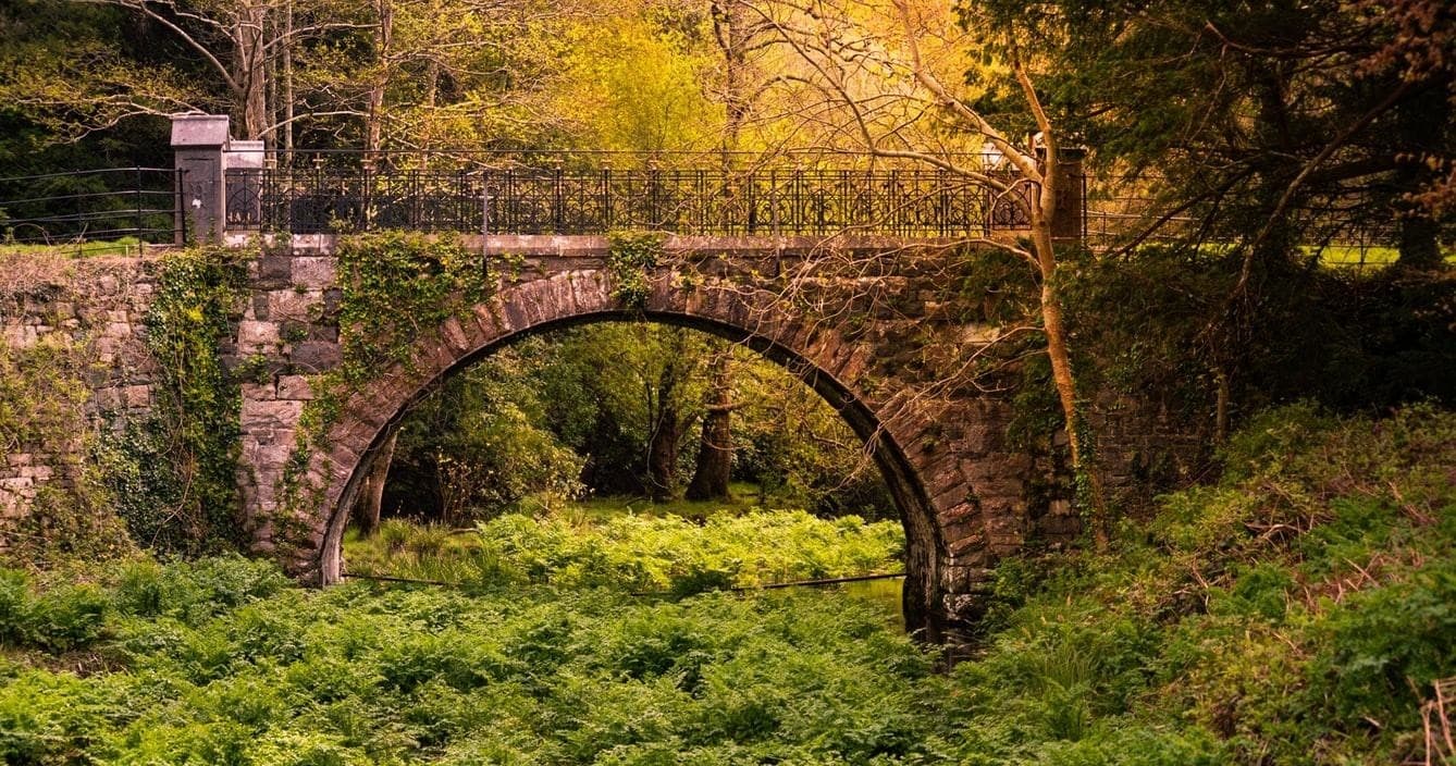Killarney Castle & Lakes Tour with Letz Go City Tours EU