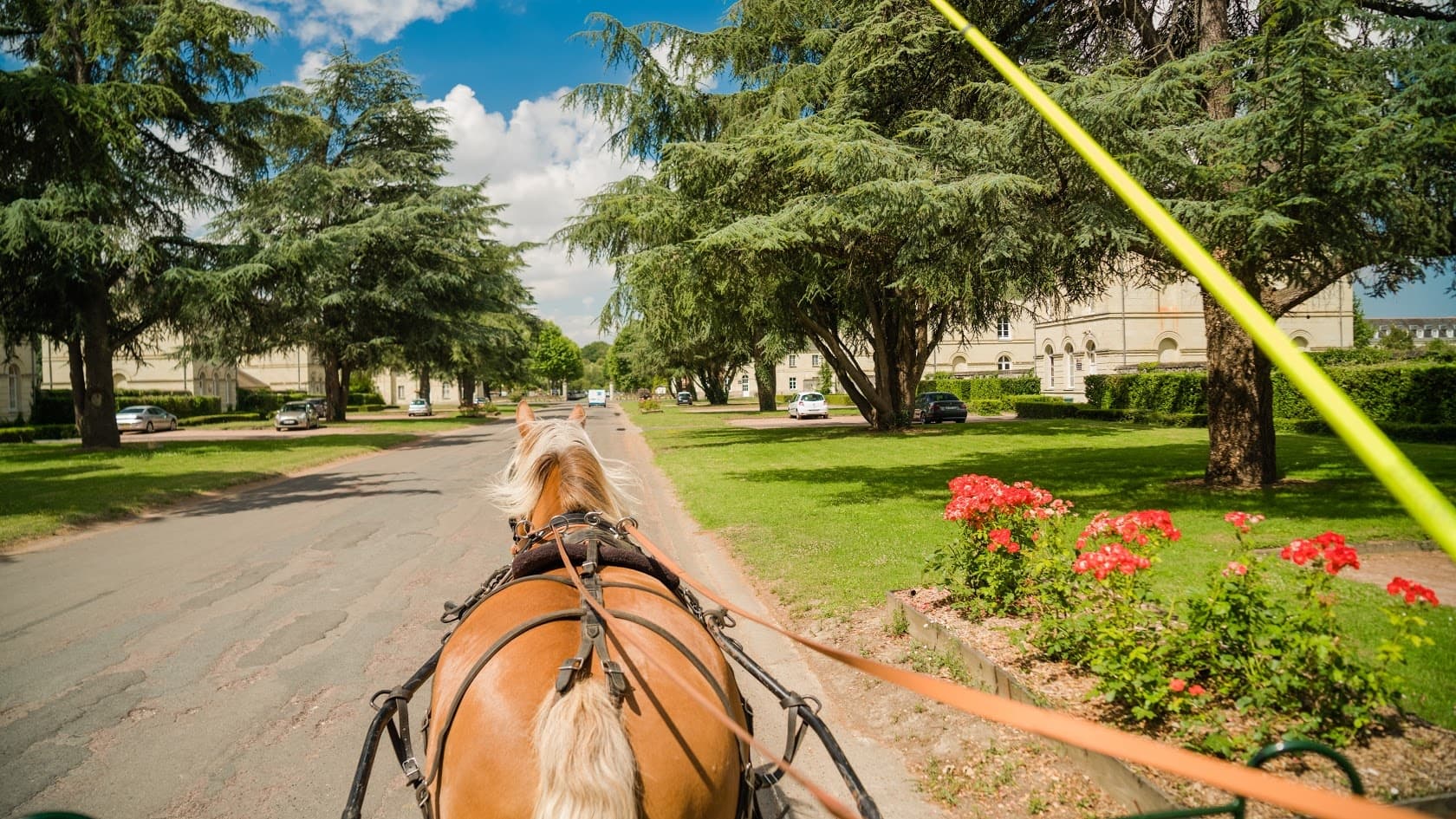 Carriage Rides at Le Haras des Ouches in Roiffe