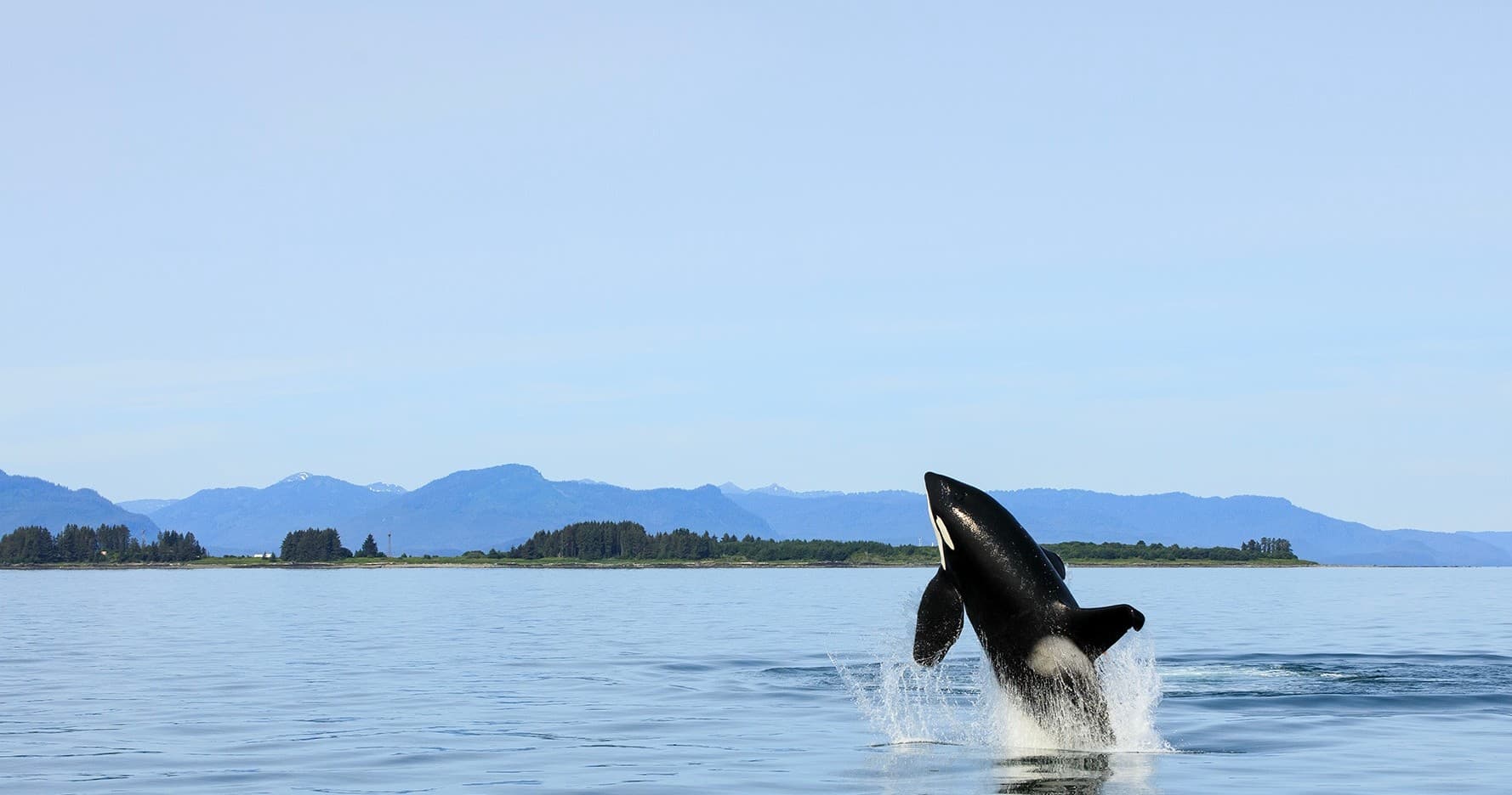 13-Day Photography Tour in Scenic Sitka, Alaska