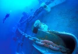 Key Largo Diving Package: 6 Trips, 12 Dives on Reefs and Wrecks photo 3