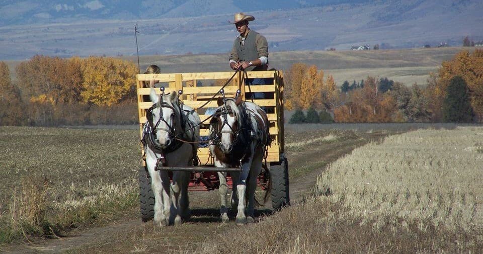 Family-Friendly Hay Ride at Sunrise Pack Station in Bozeman