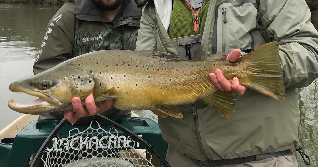 Private Wade Fishing Adventure on Chattahoochee River, GA