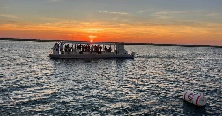 Afternoon HAPPY HOUR Back Bay Nature Cruise in Avalon, NJ