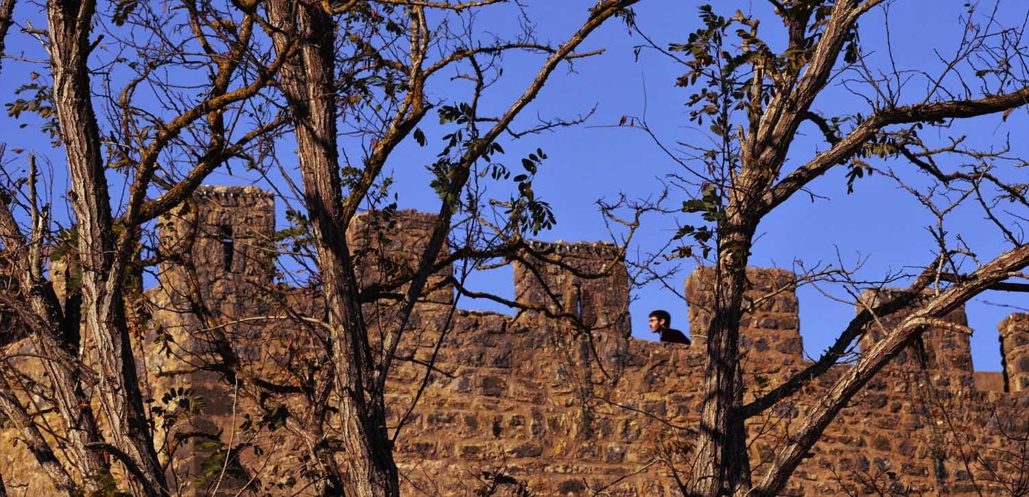 Óbidos Medieval Village & Buddha Eden Tour by Silver Coast Travelling