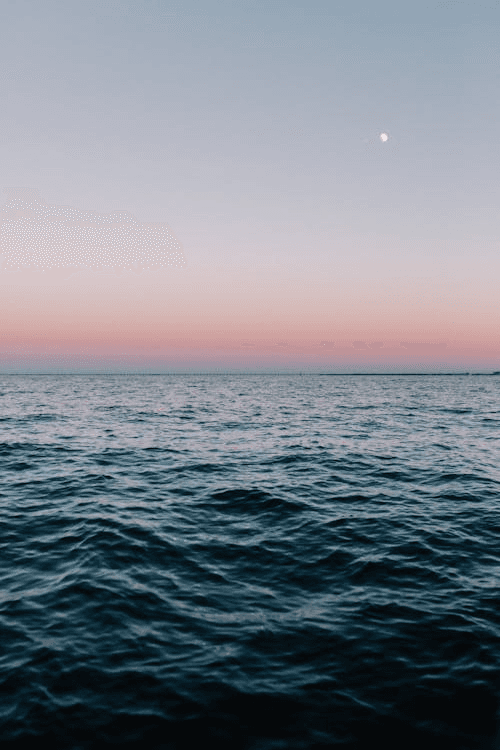 Suntracker Party Barge Charters in Orange Beach: Captain-Led Gulf & Bay Adventures