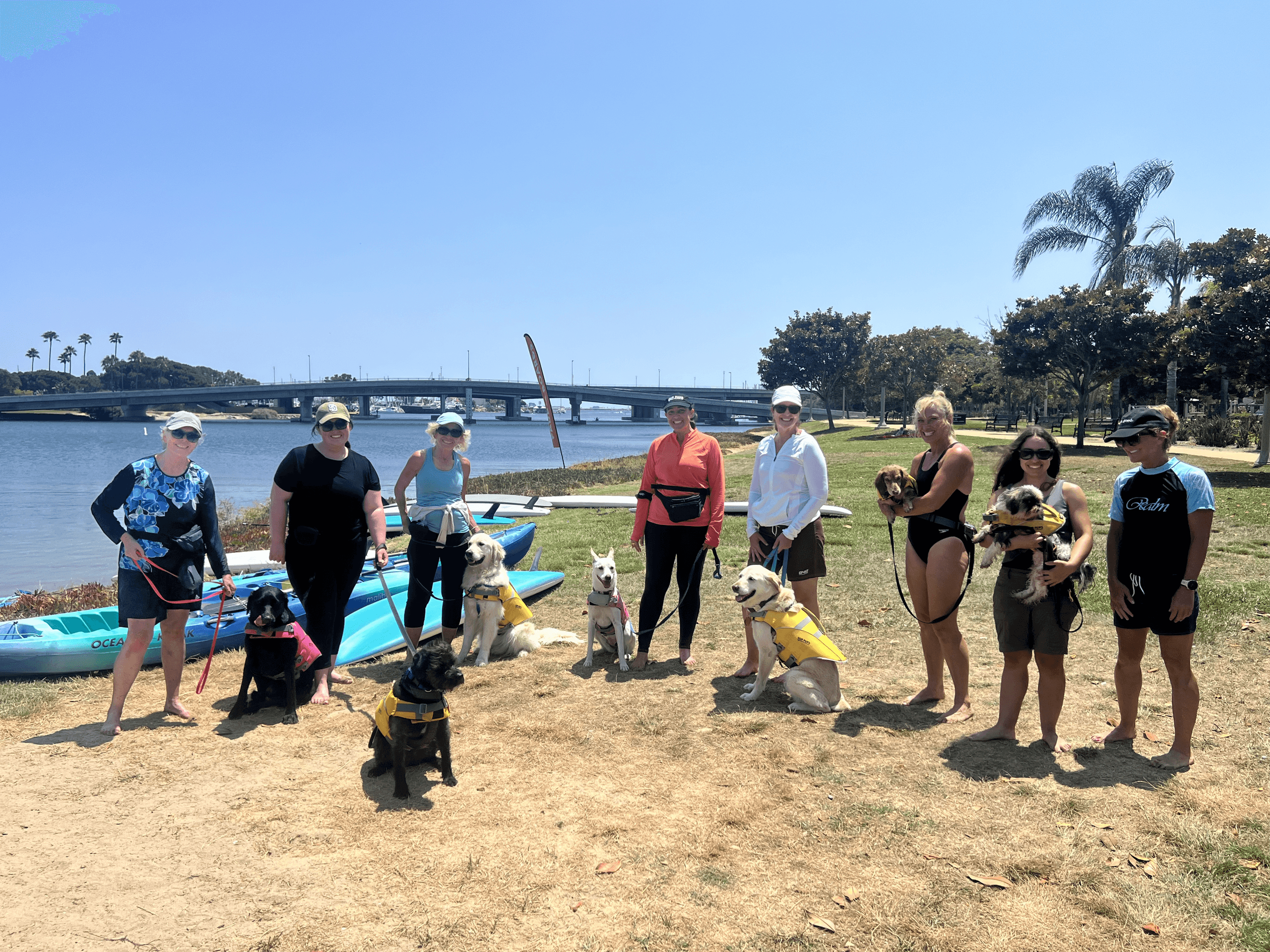 Water Activities with Pawsitive Paws SUP Pups Paddle