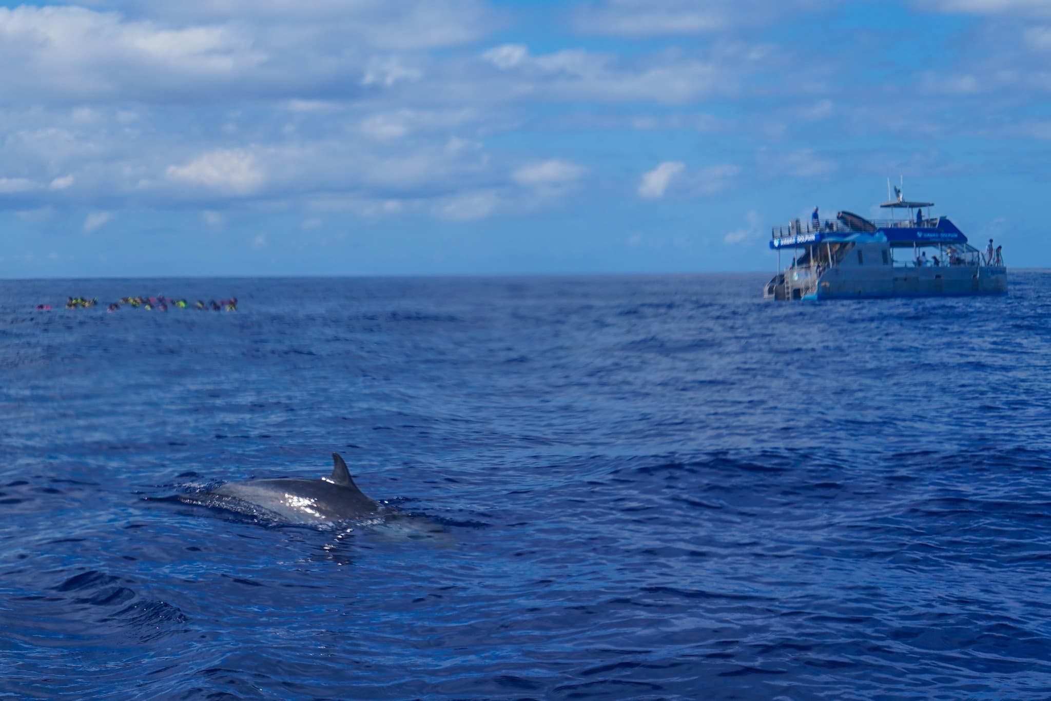 Waianae Coast Catamaran: Swim with Dolphins, Snorkel with Turtles & Waterplay photo 2