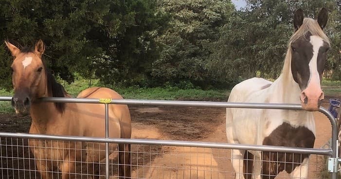 Horseback Riding at Sunshine Acres Ranch in Mountainous Terrain
