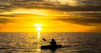 Sarasota Bay Kayak & Paddleboard Rentals with Ultimate Kayak SRQ