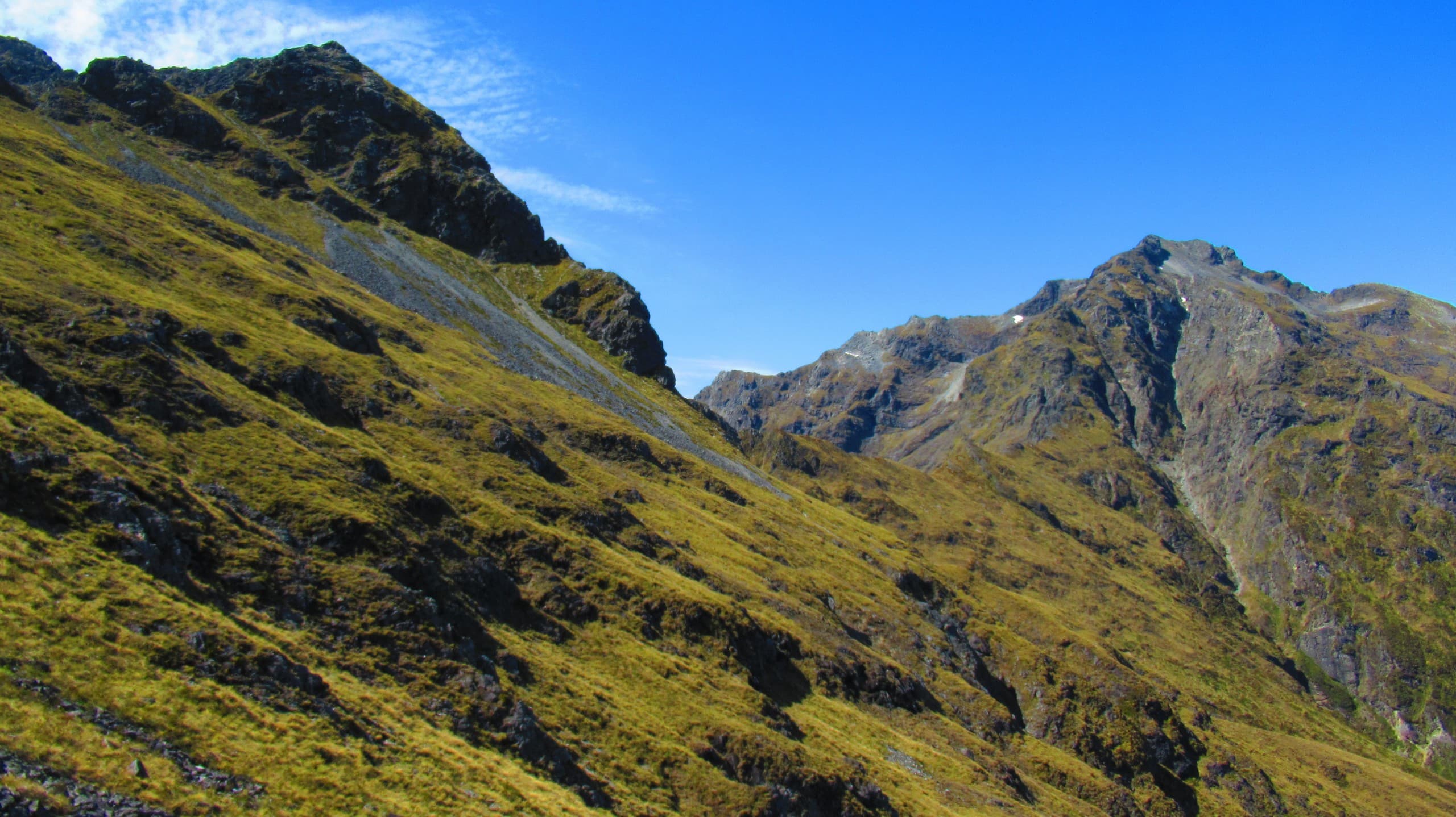 Dore Pass Alpine Traverse: Fiordland's One-Day Alpine Crossing from Te Anau photo 1