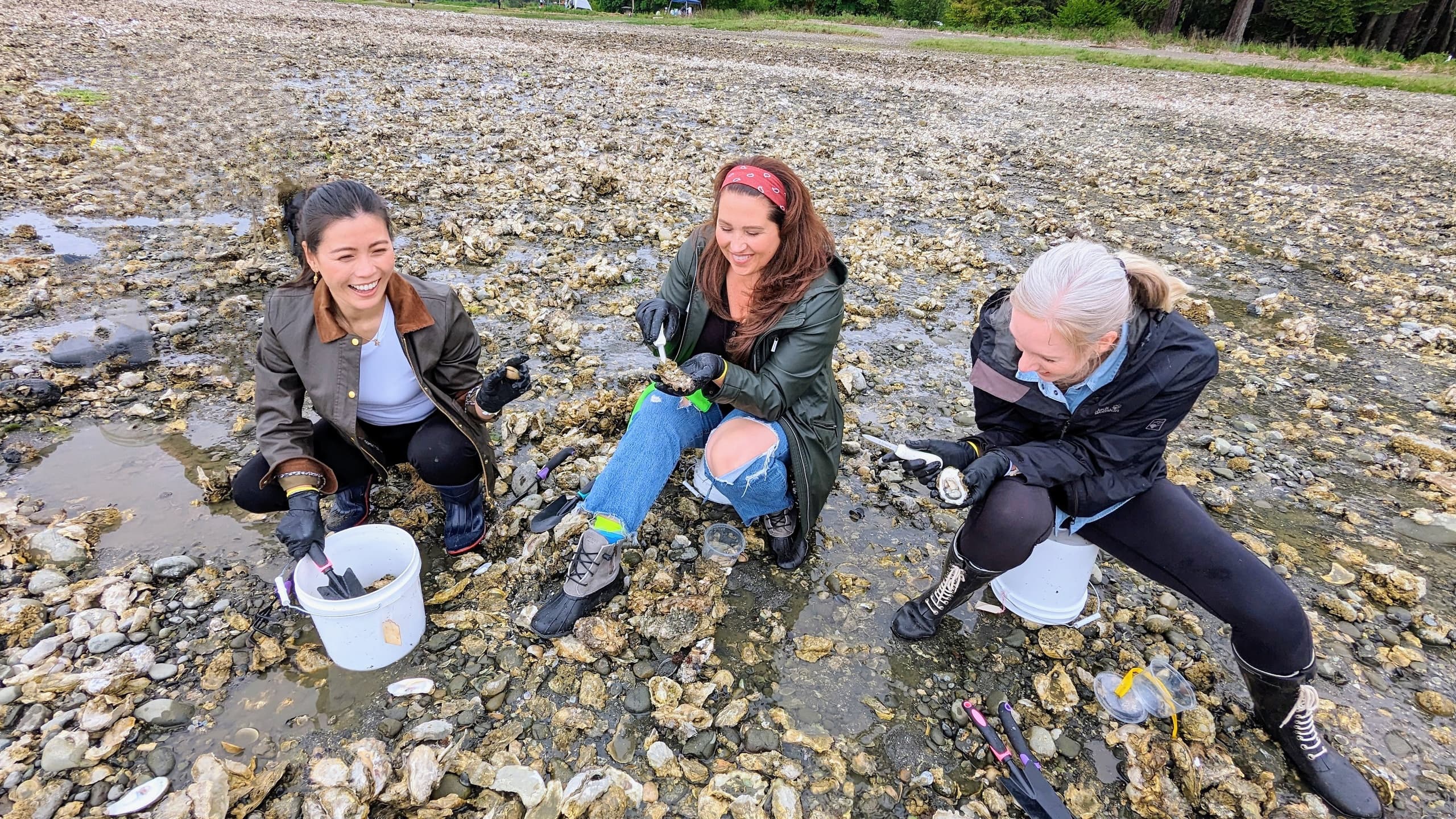 Oyster & Clam ShinDIG: Hands-On Shellfish Harvesting Near Redmond, WA photo 3